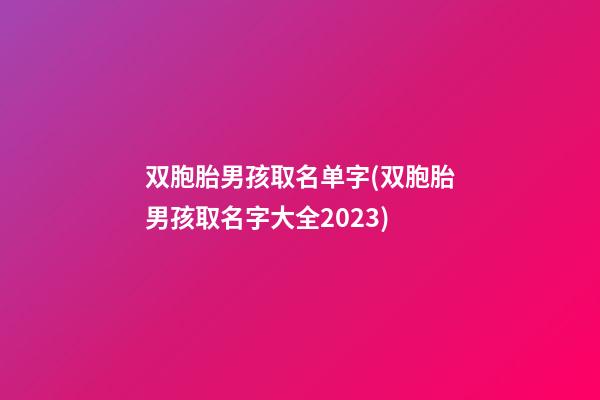 双胞胎男孩取名单字(双胞胎男孩取名字大全2023)