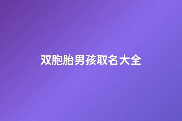双胞胎男孩取名大全(双胞胎男孩取名大全免费)-第1张-男孩起名-玄机派