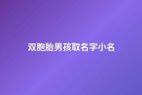 双胞胎男孩取名字小名(双胞胎男孩取名字小名怎么取)-第1张-男孩起名-玄机派