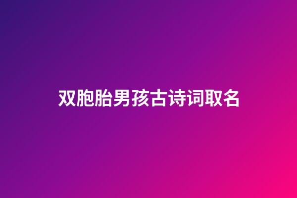 双胞胎男孩古诗词取名(双胞胎男孩古诗词取名字)-第1张-男孩起名-玄机派