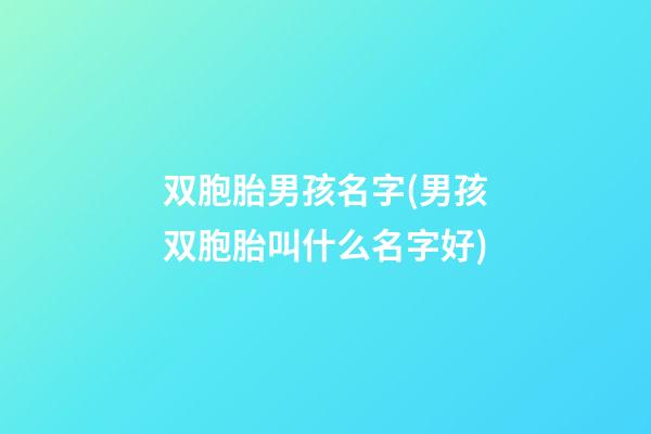 双胞胎男孩名字(男孩双胞胎叫什么名字好)
