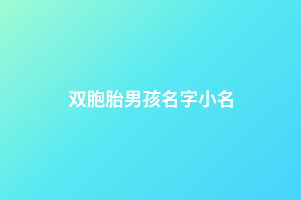 双胞胎男孩名字小名