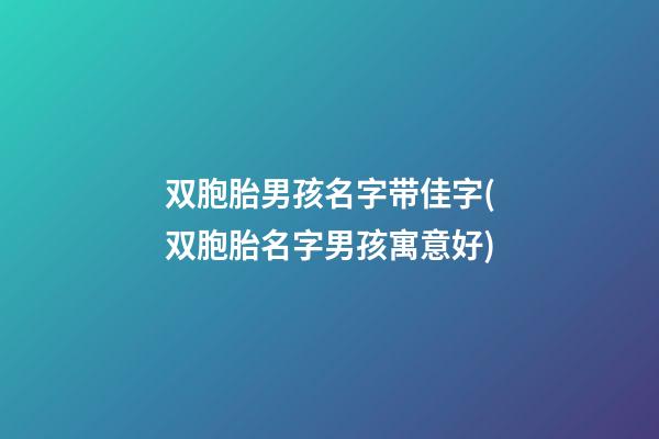 双胞胎男孩名字带佳字(双胞胎名字男孩寓意好)