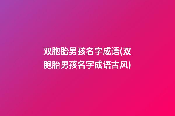 双胞胎男孩名字成语(双胞胎男孩名字成语古风)