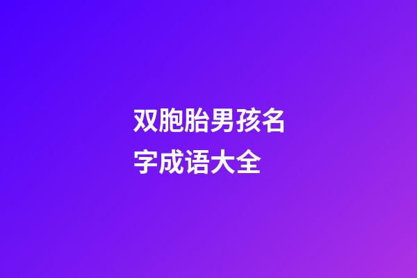双胞胎男孩名字成语大全(双胞胎男宝宝取名成语)-第1张-男孩起名-玄机派