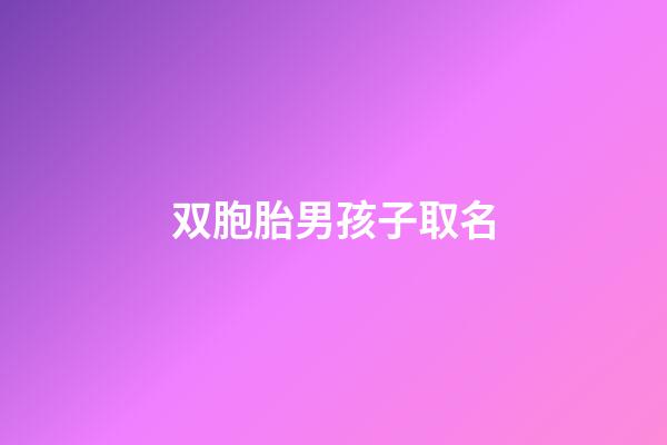 双胞胎男孩子取名(双胞胎男孩子取名2023)-第1张-男孩起名-玄机派