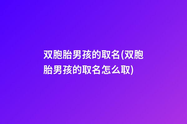 双胞胎男孩的取名(双胞胎男孩的取名怎么取)