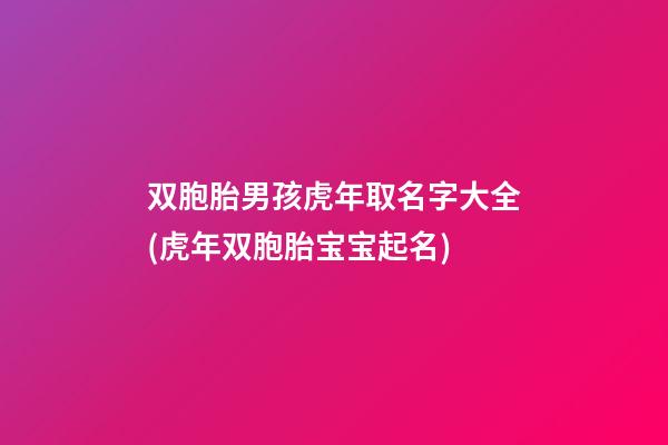 双胞胎男孩虎年取名字大全(虎年双胞胎宝宝起名)