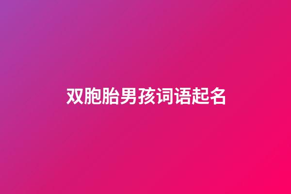 双胞胎男孩词语起名(双胞胎男孩起名字好寓意的字)-第1张-男孩起名-玄机派