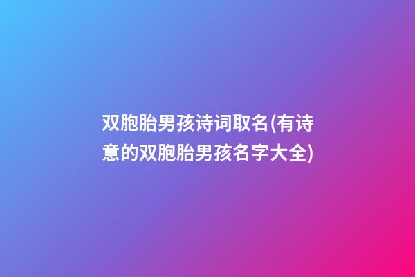 双胞胎男孩诗词取名(有诗意的双胞胎男孩名字大全)