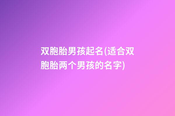 双胞胎男孩起名(适合双胞胎两个男孩的名字)