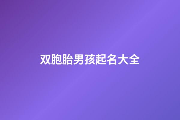 双胞胎男孩起名大全