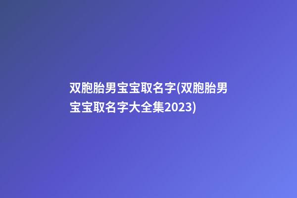 双胞胎男宝宝取名字(双胞胎男宝宝取名字大全集2023)