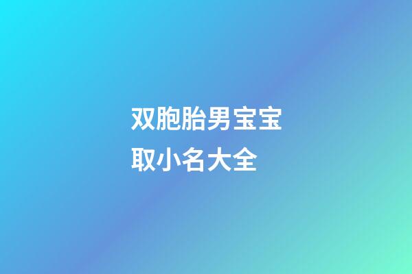双胞胎男宝宝取小名大全(双胞胎男孩小名字大全2023)-第1张-男孩起名-玄机派