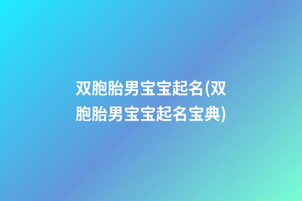 双胞胎男宝宝起名(双胞胎男宝宝起名宝典)