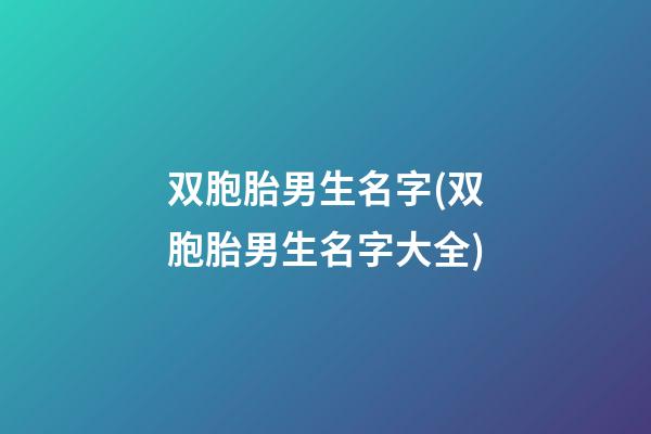 双胞胎男生名字(双胞胎男生名字大全)