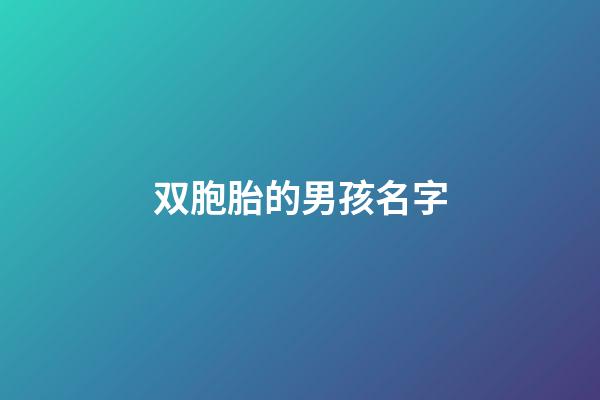 双胞胎的男孩名字(双胞胎男孩名字集锦)-第1张-男孩起名-玄机派