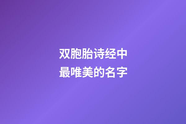 双胞胎诗经中最唯美的名字