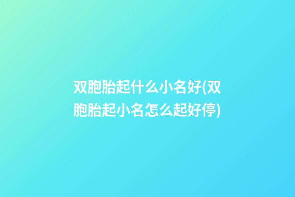 双胞胎起什么小名好(双胞胎起小名怎么起好停)