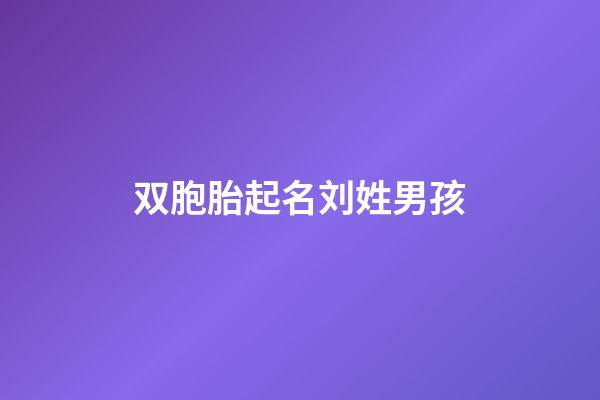 双胞胎起名刘姓男孩(双胞胎起名刘姓男孩)-第1张-男孩起名-玄机派