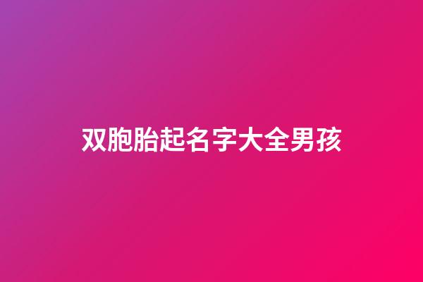 双胞胎起名字大全男孩(双胞胎名字是一对成语)-第1张-男孩起名-玄机派