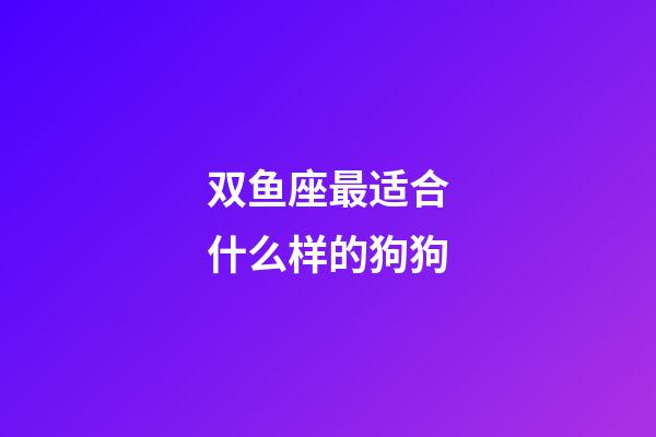 双鱼座最适合什么样的狗狗-第1张-星座运势-玄机派