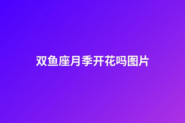 双鱼座月季开花吗图片-第1张-星座运势-玄机派
