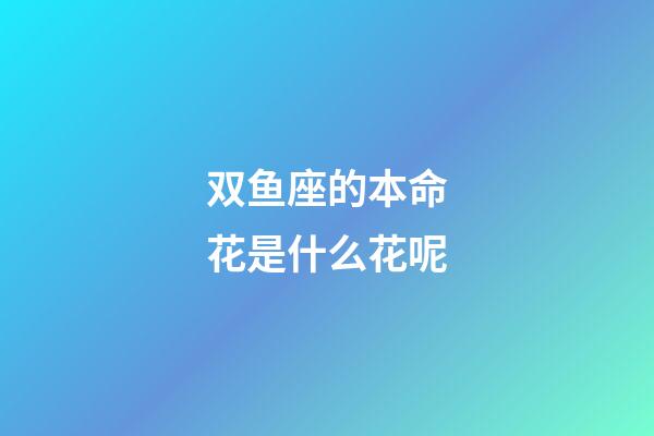 双鱼座的本命花是什么花呢