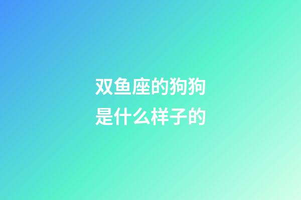 双鱼座的狗狗是什么样子的-第1张-星座运势-玄机派