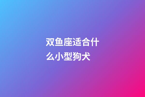 双鱼座适合什么小型狗犬-第1张-星座运势-玄机派