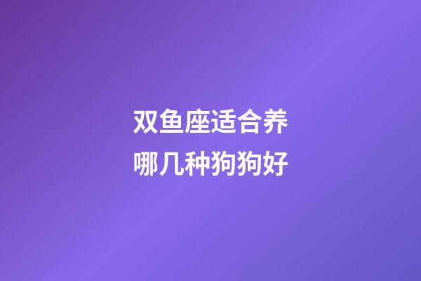 双鱼座适合养哪几种狗狗好-第1张-星座运势-玄机派