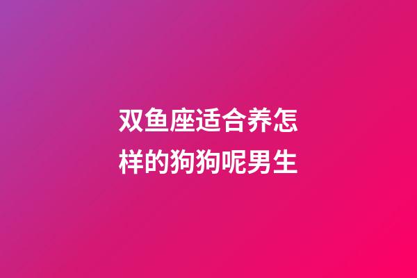 双鱼座适合养怎样的狗狗呢男生-第1张-星座运势-玄机派