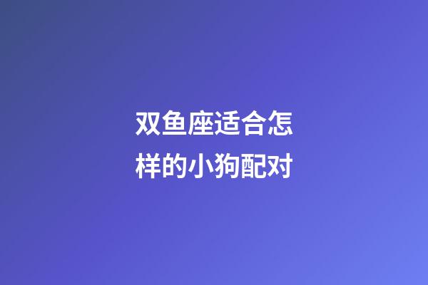 双鱼座适合怎样的小狗配对-第1张-星座运势-玄机派
