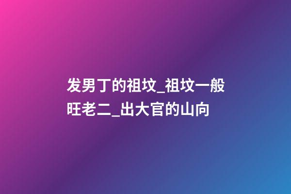 发男丁的祖坟_祖坟一般旺老二_出大官的山向