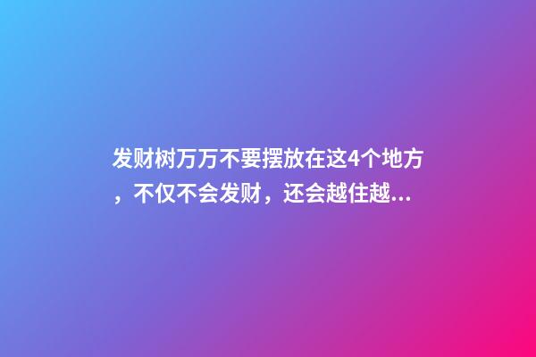 发财树万万不要摆放在这4个地方，不仅不会发财，还会越住越穷！