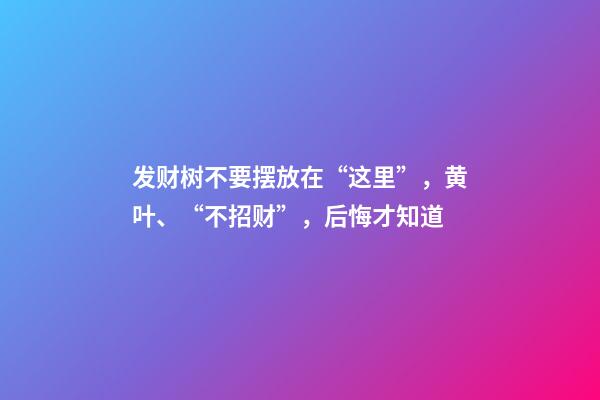 发财树不要摆放在“这里”，黄叶、“不招财”，后悔才知道
