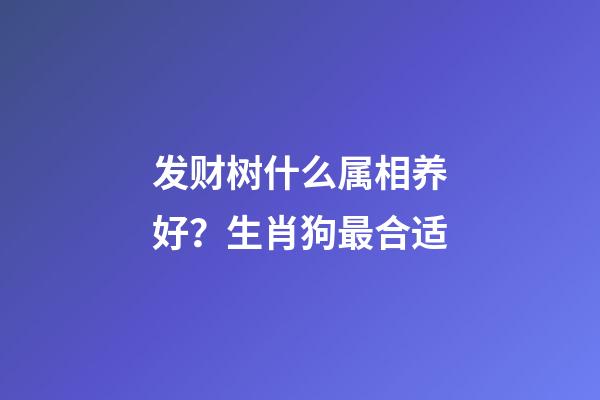 发财树什么属相养好？生肖狗最合适