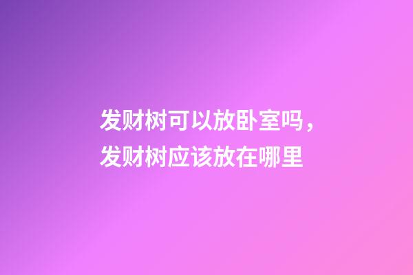 发财树可以放卧室吗，发财树应该放在哪里