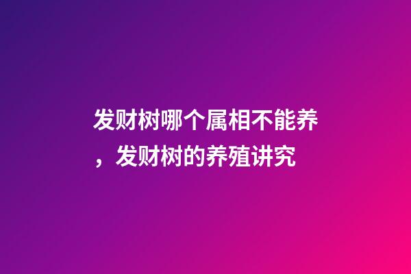 发财树哪个属相不能养，发财树的养殖讲究