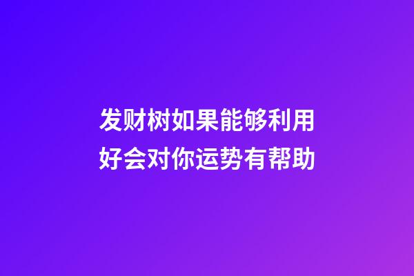 发财树如果能够利用好会对你运势有帮助