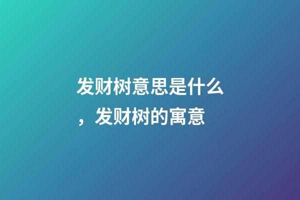 发财树意思是什么，发财树的寓意