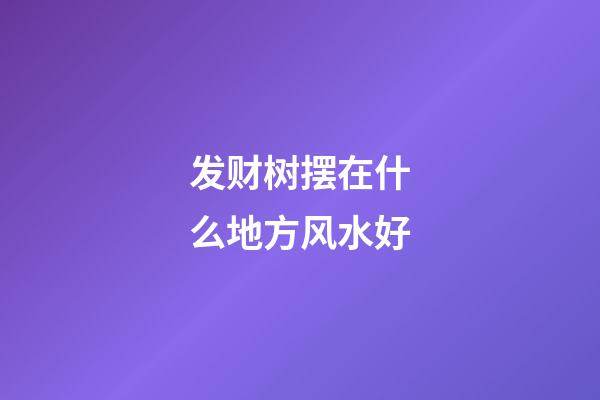 发财树摆在什么地方风水好