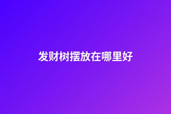 发财树摆放在哪里好