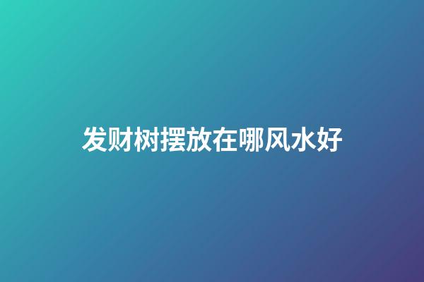 发财树摆放在哪风水好