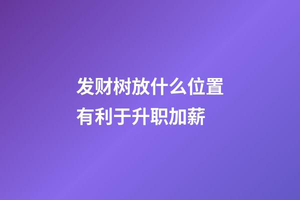发财树放什么位置有利于升职加薪