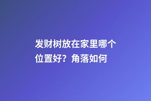 发财树放在家里哪个位置好？角落如何