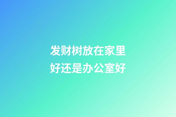 发财树放在家里好还是办公室好