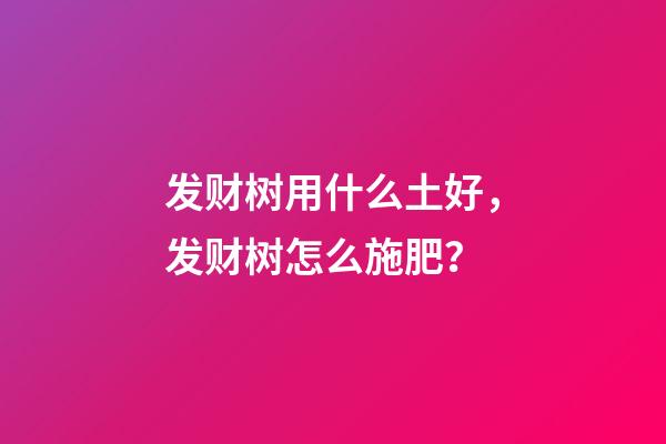 发财树用什么土好，发财树怎么施肥？