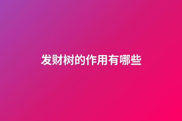 发财树的作用有哪些