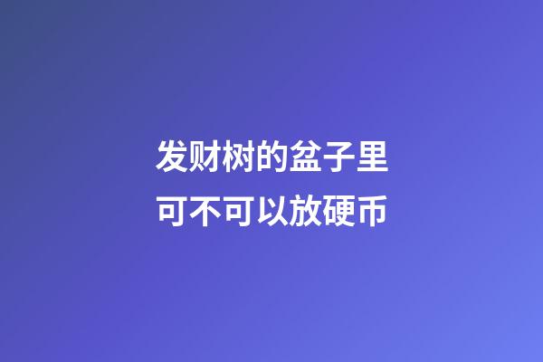 发财树的盆子里可不可以放硬币